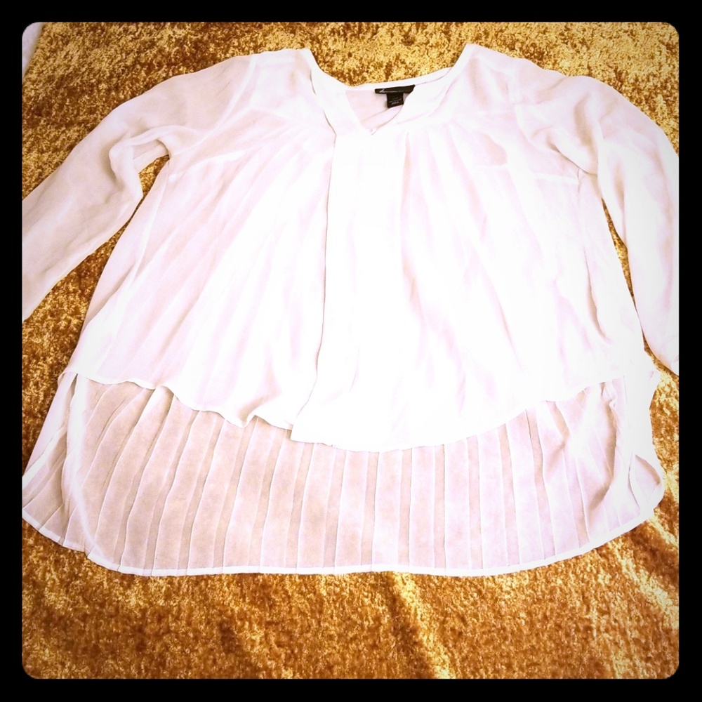 Sheer Pleated V-Neck Blouse